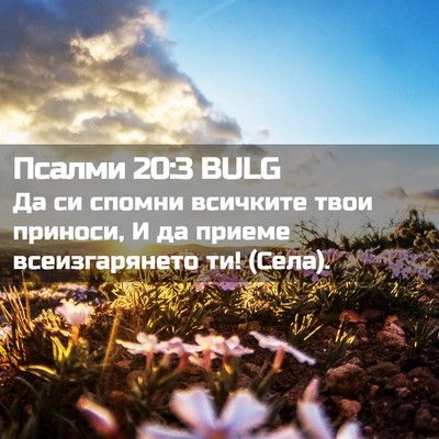 Picture 02 - Псалми 20:3 BULG - Да си спомни всичките твои - Bible Verse Picture
