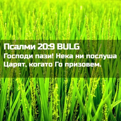 Picture 02 - Псалми 20:9 BULG - Господи пази! Нека ни - Bible Verse Picture