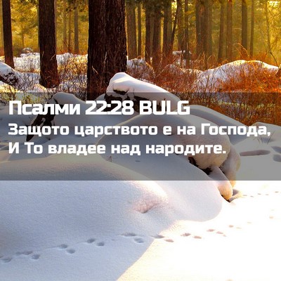 Picture 02 - Псалми 22:28 BULG - Защото царството е на - Bible Verse Picture