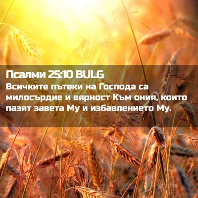 Picture 02 - Псалми 25:10 BULG - Всичките пътеки на Господа - Bible Verse Picture