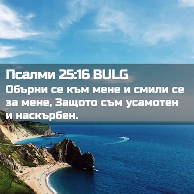 Picture 02 - Псалми 25:16 BULG - Обърни се към мене и смили - Bible Verse Picture