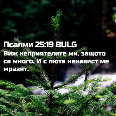 Picture 02 - Псалми 25:19 BULG - Виж неприятелите ми, - Bible Verse Picture