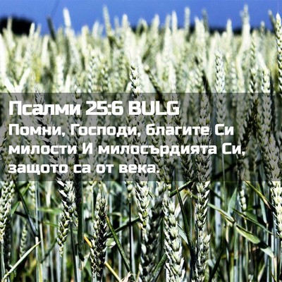 Picture 02 - Псалми 25:6 BULG - Помни, Господи, благите Си - Bible Verse Picture