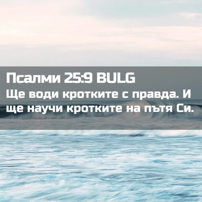 Picture 02 - Псалми 25:9 BULG - Ще води кротките с правда. - Bible Verse Picture