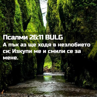 Picture 02 - Псалми 26:11 BULG - А пък аз ще ходя в - Bible Verse Picture