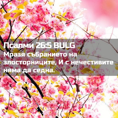 Picture 02 - Псалми 26:5 BULG - Мразя събранието на - Bible Verse Picture