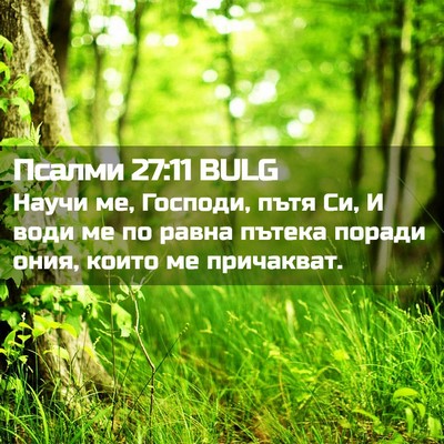 Picture 02 - Псалми 27:11 BULG - Научи ме, Господи, пътя Си, - Bible Verse Picture