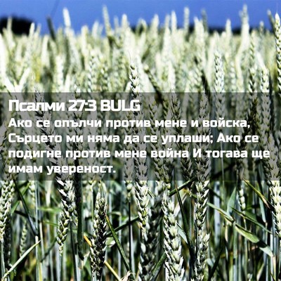 Picture 02 - Псалми 27:3 BULG - Ако се опълчи против мене и - Bible Verse Picture