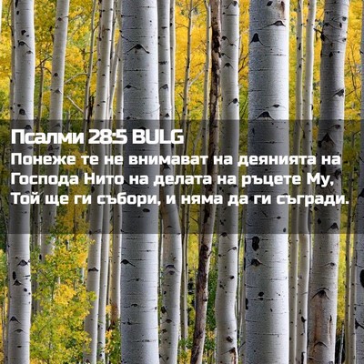 Picture 02 - Псалми 28:5 BULG - Понеже те не внимават на - Bible Verse Picture