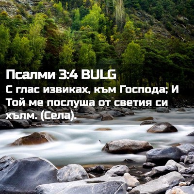 Picture 02 - Псалми 3:4 BULG - С глас извиках, към - Bible Verse Picture