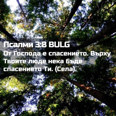 Picture 02 - Псалми 3:8 BULG - От Господа е спасението. - Bible Verse Picture