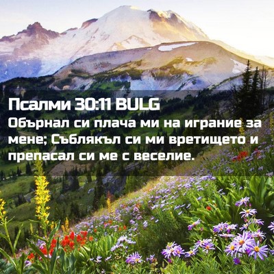Picture 02 - Псалми 30:11 BULG - Обърнал си плача ми на - Bible Verse Picture