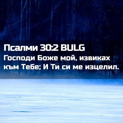 Picture 02 - Псалми 30:2 BULG - Господи Боже мой, извиках - Bible Verse Picture
