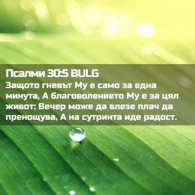 Picture 02 - Псалми 30:5 BULG - Защото гневът Му е само за - Bible Verse Picture