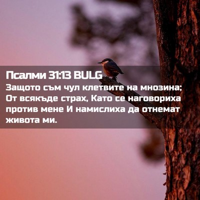 Picture 02 - Псалми 31:13 BULG - Защото съм чул клетвите на - Bible Verse Picture
