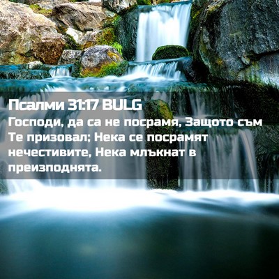 Picture 02 - Псалми 31:17 BULG - Господи, да са не посрамя, - Bible Verse Picture