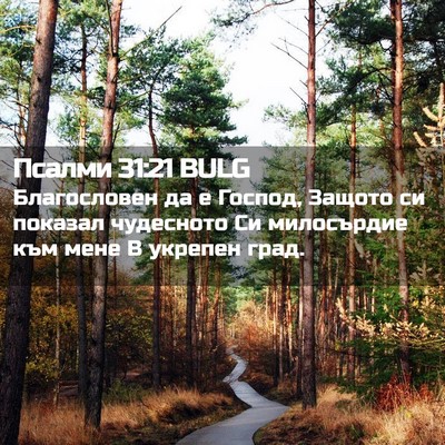 Picture 02 - Псалми 31:21 BULG - Благословен да е Господ, - Bible Verse Picture