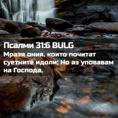 Picture 02 - Псалми 31:6 BULG - Мразя ония, които почитат - Bible Verse Picture