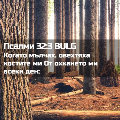 Picture 02 - Псалми 32:3 BULG - Когато мълчах, овехтяха - Bible Verse Picture