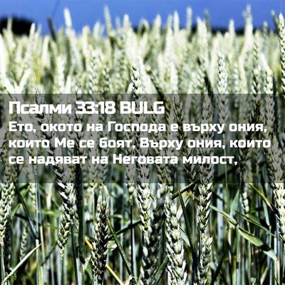 Picture 02 - Псалми 33:18 BULG - Ето, окото на Господа е - Bible Verse Picture