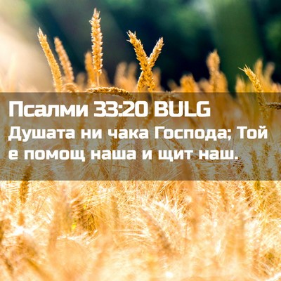 Picture 02 - Псалми 33:20 BULG - Душата ни чака Господа; Той - Bible Verse Picture