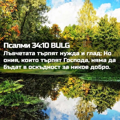 Picture 02 - Псалми 34:10 BULG - Лъвчетата търпят нужда и - Bible Verse Picture