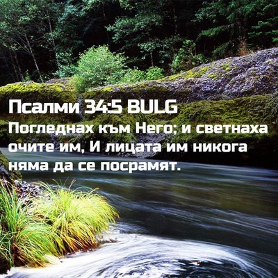 Picture 02 - Псалми 34:5 BULG - Погледнах към Него; и - Bible Verse Picture