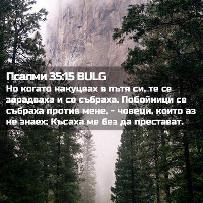 Picture 02 - Псалми 35:15 BULG - Но когато накуцвах в пътя - Bible Verse Picture