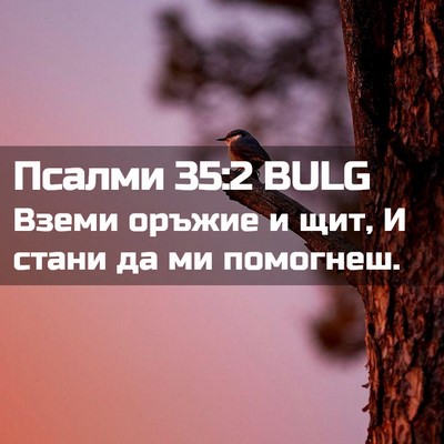 Picture 02 - Псалми 35:2 BULG - Вземи оръжие и щит, И стани - Bible Verse Picture