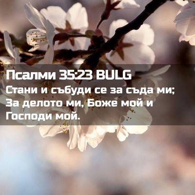 Picture 02 - Псалми 35:23 BULG - Стани и събуди се за съда - Bible Verse Picture