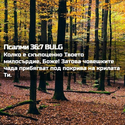 Picture 02 - Псалми 36:7 BULG - Колко е скъпоценно Твоето - Bible Verse Picture