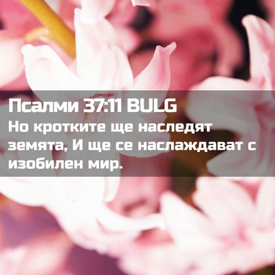 Picture 02 - Псалми 37:11 BULG - Но кротките ще наследят - Bible Verse Picture
