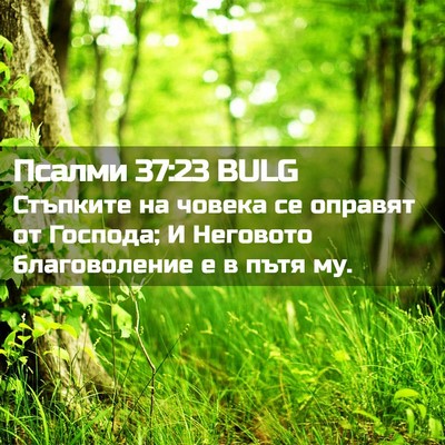 Picture 02 - Псалми 37:23 BULG - Стъпките на човека се - Bible Verse Picture