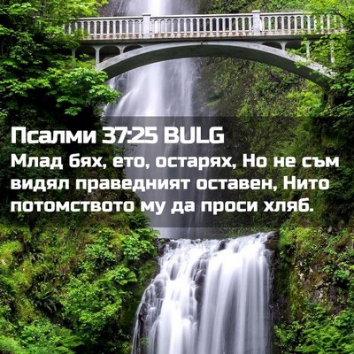 Picture 02 - Псалми 37:25 BULG - Млад бях, ето, остарях, Но - Bible Verse Picture