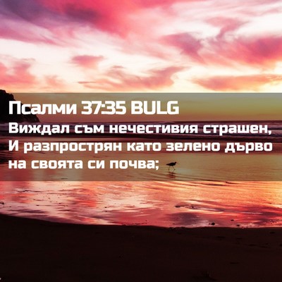 Picture 02 - Псалми 37:35 BULG - Виждал съм нечестивия - Bible Verse Picture