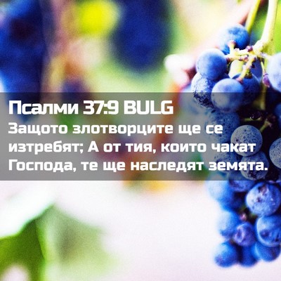 Picture 02 - Псалми 37:9 BULG - Защото злотворците ще се - Bible Verse Picture