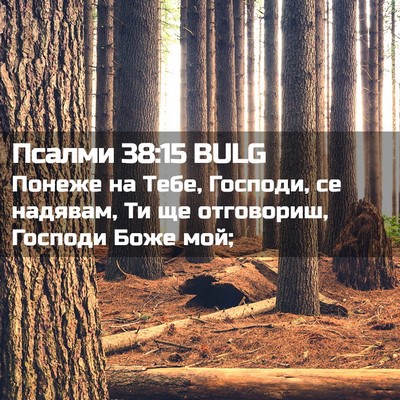 Picture 02 - Псалми 38:15 BULG - Понеже на Тебе, Господи, се - Bible Verse Picture