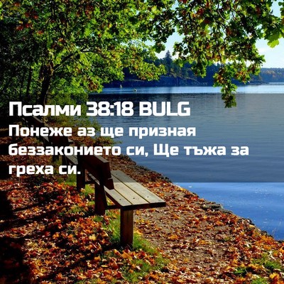 Picture 02 - Псалми 38:18 BULG - Понеже аз ще призная - Bible Verse Picture
