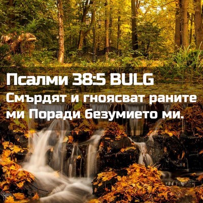 Picture 02 - Псалми 38:5 BULG - Смърдят и гноясват раните - Bible Verse Picture