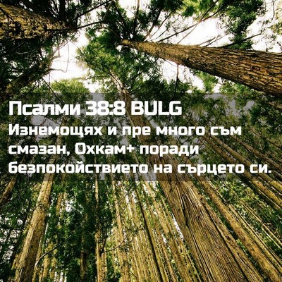 Picture 02 - Псалми 38:8 BULG - Изнемощях и пре много съм - Bible Verse Picture