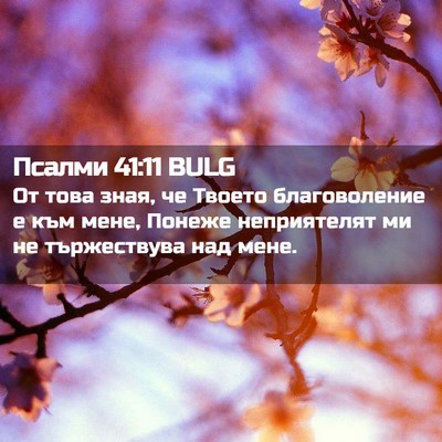 Picture 02 - Псалми 41:11 BULG - От това зная, че Твоето - Bible Verse Picture