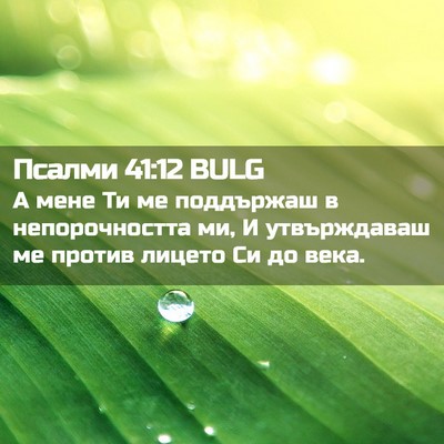 Picture 02 - Псалми 41:12 BULG - А мене Ти ме поддържаш в - Bible Verse Picture