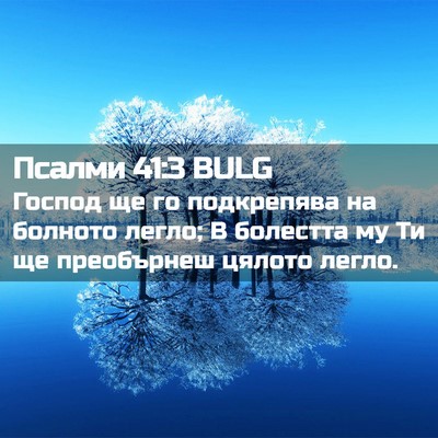 Picture 02 - Псалми 41:3 BULG - Господ ще го подкрепява на - Bible Verse Picture