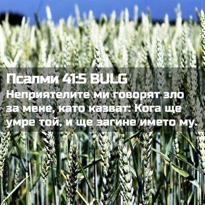 Picture 02 - Псалми 41:5 BULG - Неприятелите ми говорят - Bible Verse Picture