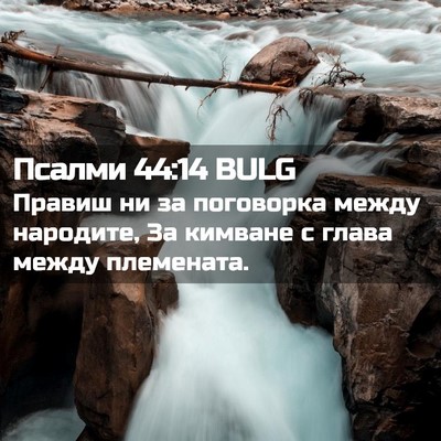 Picture 02 - Псалми 44:14 BULG - Правиш ни за поговорка - Bible Verse Picture