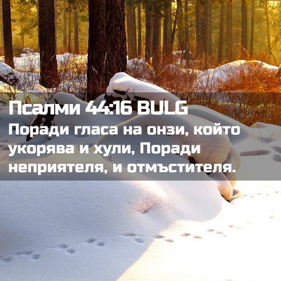 Picture 02 - Псалми 44:16 BULG - Поради гласа на онзи, който - Bible Verse Picture
