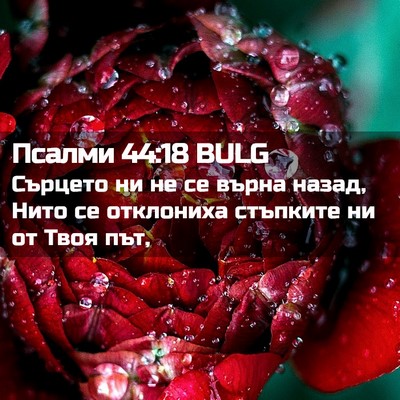 Picture 02 - Псалми 44:18 BULG - Сърцето ни не се върна - Bible Verse Picture