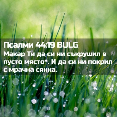 Picture 02 - Псалми 44:19 BULG - Макар Ти да си ни съкрушил - Bible Verse Picture