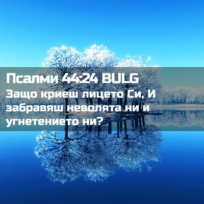 Picture 02 - Псалми 44:24 BULG - Защо криеш лицето Си, И - Bible Verse Picture