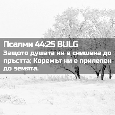 Picture 02 - Псалми 44:25 BULG - Защото душата ни е снишена - Bible Verse Picture
